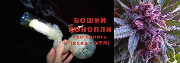 прущие грибы Куйбышев