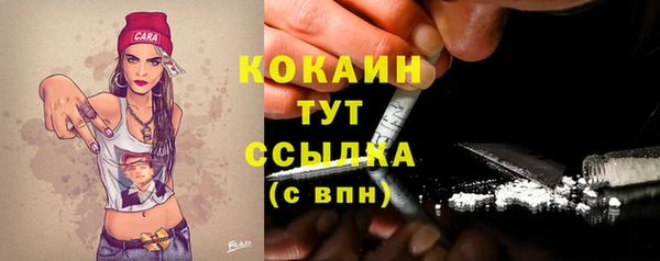 тгк Ладушкин