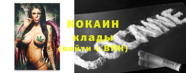 прущие грибы Куйбышев