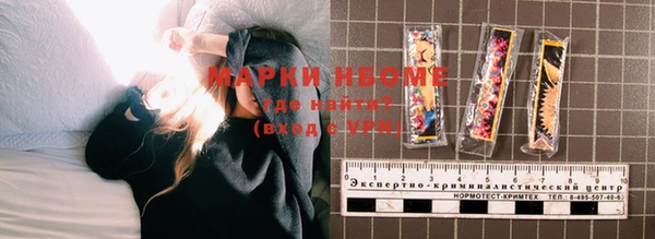 прущие грибы Куйбышев