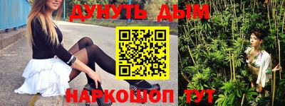 трава Кингисепп
