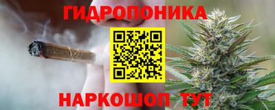 трава Кингисепп