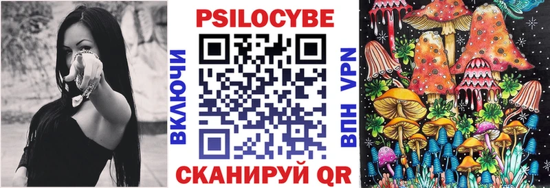 MEGA как зайти  Строитель  Псилоцибиновые грибы Psilocybe  что такое наркотик 